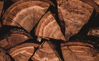 Welk brandhout is het beste voor je huis?