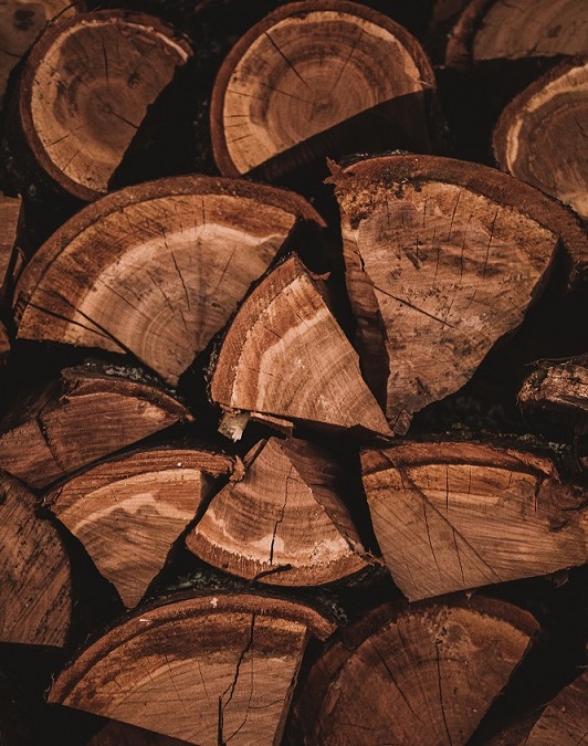Welk brandhout is het beste voor je huis?