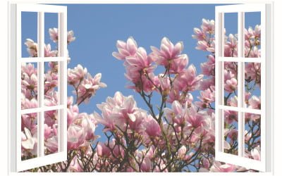 Maatwerk kozijnen: Ontwerpmogelijkheden en personalisatie