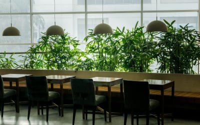 Het voordeel van de grootste verlichting in horeca