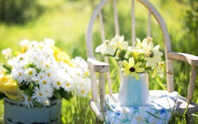 Tuinmeubelen: creëer jouw perfecte buitenruimte