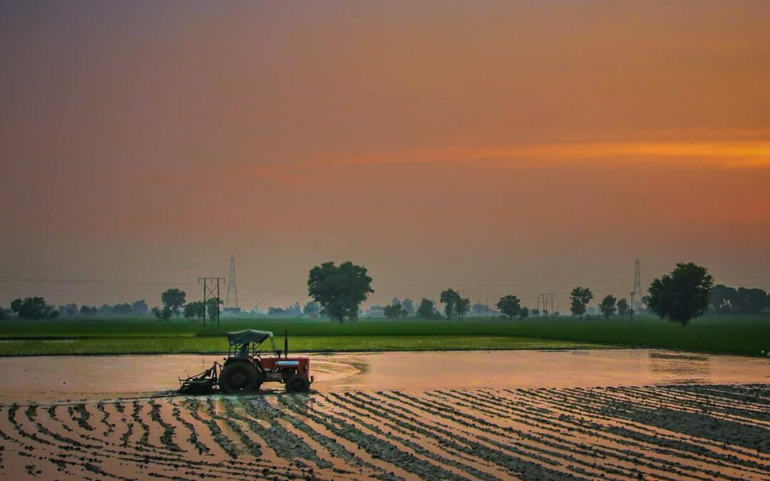 Waterbeheer in de tuin