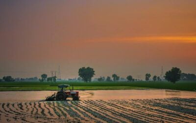Waterbeheer in de tuin