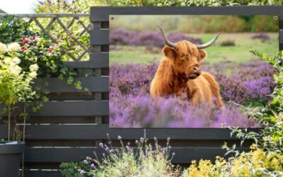 De beste tuindecoratie voor alle tuinstijlen