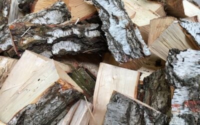 Het perfecte haardhout: Welke houtsoorten branden het best?