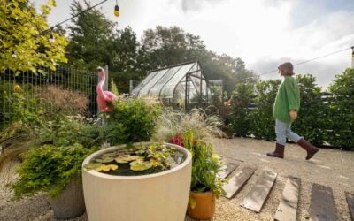 Bewezen technieken voor de perfecte tuinbeleving