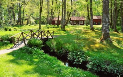 Het bouwen van tuinkantoren