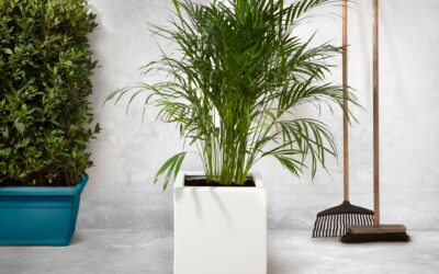 Duurzaam tuinieren: stijlvolle plantenbakken voor binnen en buiten