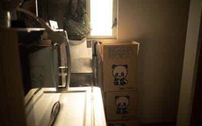 Extra opslag nodig? 5 voordelen van een opslagbox huren